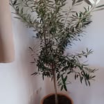 Herbert Groß - @hepo1969 - Instagram