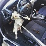 Herbert Harrell - @humor.zero - Instagram