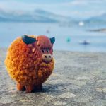 Herbert The Highland Cow - @ourpalherb - Instagram