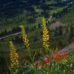 HerbertHodges - @herberthodgesi - Instagram