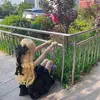 herberthorne - @herberthorne - TikTok