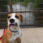Herbert Huffman - @splootinherb - Instagram