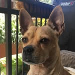 Herbert Chico Ramirez Jaffe - @herbert_el_chico - Instagram