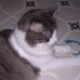 Herbert Jamison - Facebook