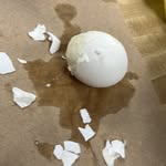 @justiceforherberttheegg - Instagram