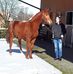 Herbert Kempermann - Facebook