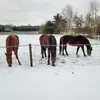 Herbert Kempermann - @herbert.kemperman - TikTok