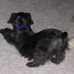 Herbie Kirkpatrick - Facebook