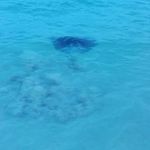 Herbert Knowles - @herbert.knowles.52 - Instagram
