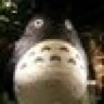 Herbert Lam - @herbert_lam - Instagram