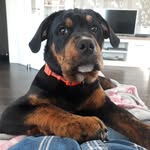 Herbert Lampe - @herbert.lampe.37 - Instagram