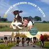 herbertlammers - @herbertlammers - TikTok