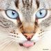 Herbert Lang - Facebook