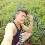 Herbert Lang - @herbertlang928 - Instagram