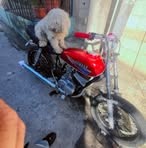 Herbert Lemus - Facebook