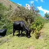 hérberth Lemus - @herberthlemus730 - TikTok