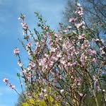 Herbert Lorenz - @helo521 - Instagram