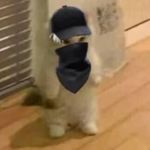 Herbert Luna - @herbert.luna.716 - Instagram