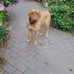 Herbert Lustig - @herbert_lustig - Instagram