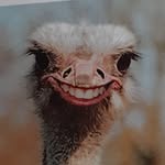 Herbert lux - @1hlux2803 - Instagram