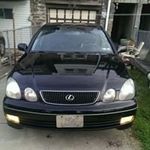 Herbert Lyons - @cat_meow_987321 - Instagram