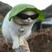 Hubert Majer - Facebook