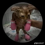 Herbert Mann - @herbert_mann1343 - Instagram