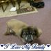 Herbert Manning - Facebook