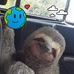 Herbert Messerli - Facebook