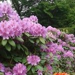 Herbert Meyer - @herbert.meyer3 - Instagram