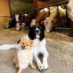 Herbert Meyer - @herbert.meyer.donna - Instagram