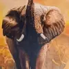 Herbert Morales - @herbert.morales8 - TikTok