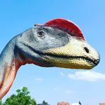 Herbert Mueller - @herbymue - Instagram