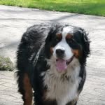 Herbert Mueller - @herbertmueller7 - Instagram