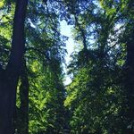 herbert mueller - @herbertmueller3 - Instagram