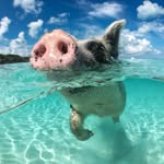 Herbert Müller - @herbert_mueller38 - Instagram