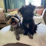 Harper + Murphy ♥️ - @harper_murphy_herbert - Instagram