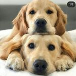 Herbert Murphy - @herbertmurphy157 - Instagram