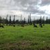 Gary Herbert New Zealand ranch - Facebook