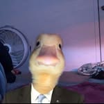 @herbert_newmann - Instagram
