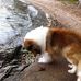 Herbert OBrien - Facebook