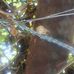 Herbert Oliphant - Facebook