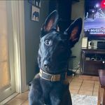 Donavan Herbert Oliver - @__donavan__oliver_ - Instagram