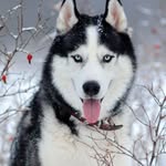 Herbert Orellana - @herbert.orellana.543 - Instagram