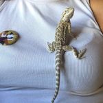 herbert oswald hypotenuse - @herberth410 - Instagram
