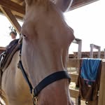 Herbert Herr Von und Zu Otto - @herbert_otto_der_erste - Instagram