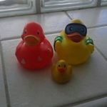 Herbert Ott - @herbert.ott67 - Instagram