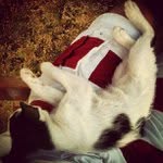 Herbert Pennington - @teeniegrimgiggly - Instagram