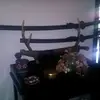 Herbert Poerba - @herbert.poerba - TikTok
