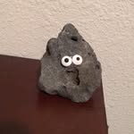 Herbert The Rock - @herberttherock - Instagram